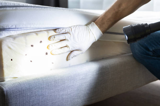 Best Affordable Pest Control Services  in Osceola, WI