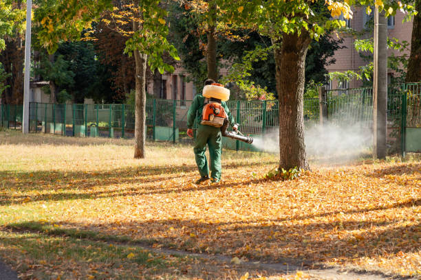 Best Cockroach Control Services  in Osceola, WI