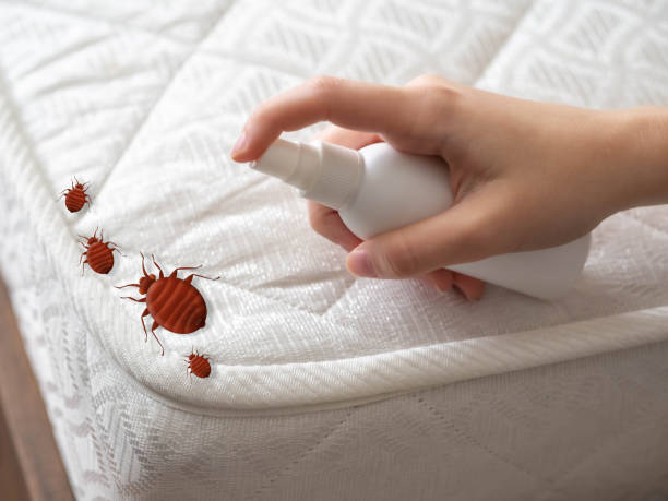 Best Bed Bug Extermination  in Osceola, WI